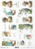 spring, Easter eggs, colorful eggs, forget-me-nots, violets, snowdrops, Easter flowers, spring flower, Frühling, Ostern, Ostereier, bunte Eier, Vergissmeinnicht, Veilchen, Schneeglöckchen, Osterblumen, Frühlingsblumen, primavera